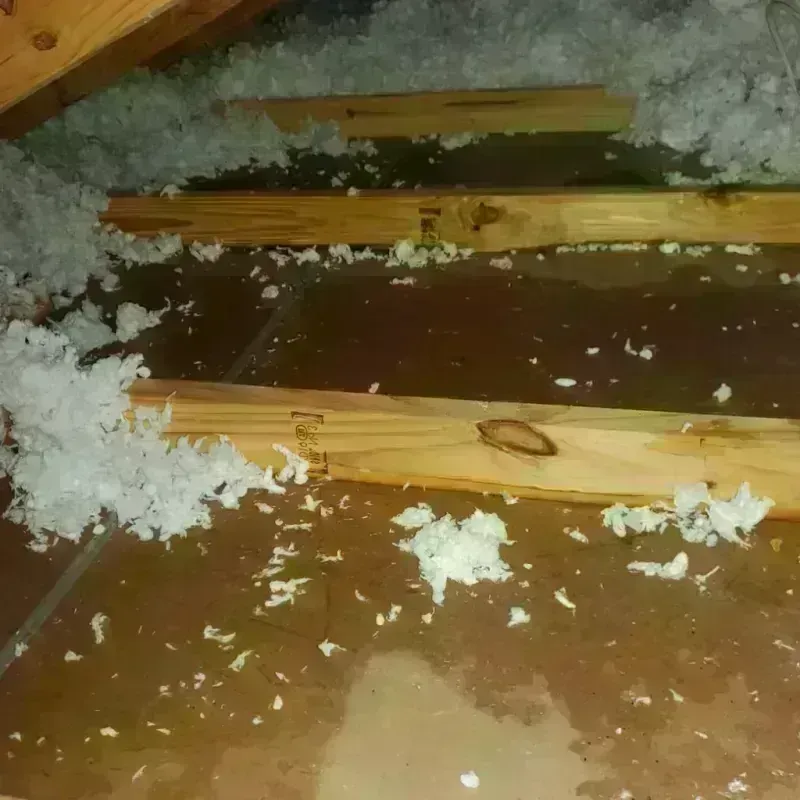 Attic Water Damage in Mitchell, IN